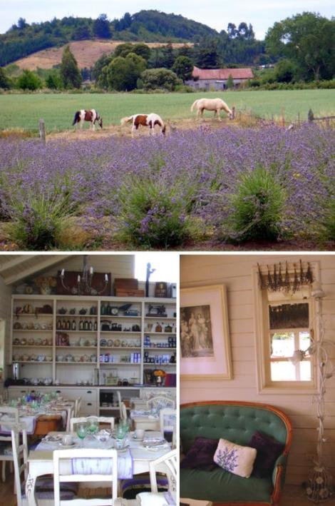 Casa de Lavanda